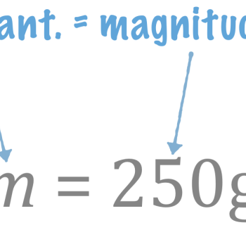 2.1. Physical Quantity, Magnitude, and Units