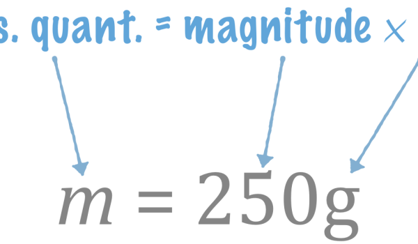 2.1. Physical Quantity, Magnitude, and Units