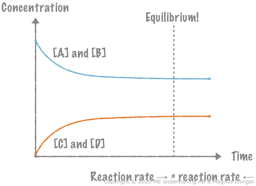The reaction A + B ⇌ C + D reaches equilibrium.