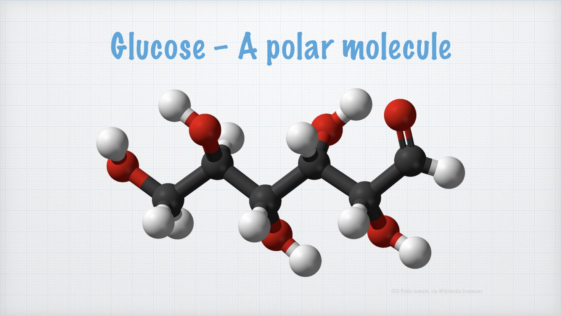 Dipoles. Polar and non polar Molecules.001